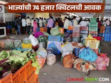 नाशिकचा भाजीपाला मुंबई, दिल्ली, बिहार, गुजरातला, 'इतक्या' कोटींची उलाढाल - Marathi News | Latest News nashik Vegetable Market Nashik's vegetables are exported to Mumbai, Delhi, Bihar, Gujarat | Latest News at Lokmat.com नाशिकचा भाजीपाला मुंबई, दिल्ली, बिहार, गुजरातला, 'इतक्या' कोटींची उलाढाल - Marathi News | Latest News nashik Vegetable Market Nashik's vegetables are exported to Mumbai, Delhi, Bihar, Gujarat | Latest News at Lokmat.com