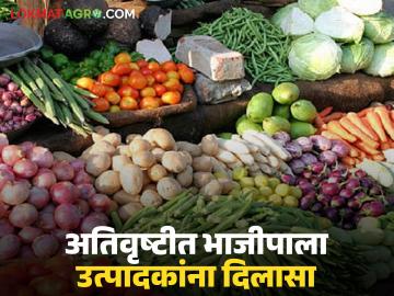 Vegetable Market : अतिवृष्टीत भाजीपाला उत्पादकांना दरवाढीचा दिलासा वाचा सविस्तर - Marathi News | latest news Vegetable Market: Price hike relief for vegetable growers during heavy rains Read in detail | Latest News at Lokmat.com Vegetable Market : अतिवृष्टीत भाजीपाला उत्पादकांना दरवाढीचा दिलासा वाचा सविस्तर - Marathi News | latest news Vegetable Market: Price hike relief for vegetable growers during heavy rains Read in detail | Latest News at Lokmat.com