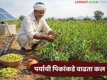 Agriculture News : कमी खर्चात, कमी पाण्यात येणाऱ्या पिकांकडे वाढता कल, भगरीचे पीक फायदेशीर - Marathi News | Latest news Growing trend towards low-cost, low-water crops, bhagri crop profitable | Latest News at Lokmat.com