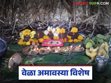 Vela Amavasya : वेळा अमावस्या : मातीशी नातं जपणारा शेतकऱ्यांचा सण