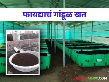 शेती आधारित या खताचे उत्पादन करून घ्या हमखास उत्पन्न - Marathi News | Get guaranteed income by producing this farm-based fertilizer | Latest News at Lokmat.com शेती आधारित या खताचे उत्पादन करून घ्या हमखास उत्पन्न - Marathi News | Get guaranteed income by producing this farm-based fertilizer | Latest News at Lokmat.com