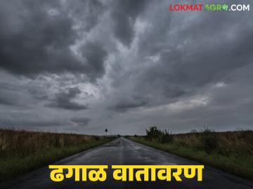 Vidarbha Monsoon Update : मान्सून संपला, पण दिवाळीपूर्वी विदर्भात ढगाळ वातावरणाची शक्यता - Marathi News | latest news Vidarbha Monsoon Update: Monsoon is over, but cloudy weather is likely in Vidarbha before Diwali | Latest News at Lokmat.com