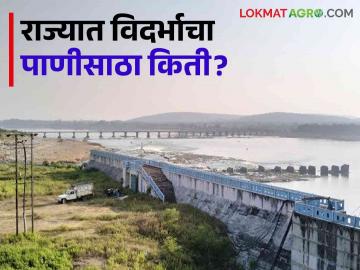 Vidarbha Dam Storage : विदर्भातील गोसेखुर्द, काटेपूर्णा, खडकपूर्णा धरणांत किती पाणी आलं? वाचा सविस्तर - Marathi News | Latest News How much water has come in Gosekhurd, Katepurna, Khadakpurna dams in Vidarbha Read in detail | Latest News at Lokmat.com Vidarbha Dam Storage : विदर्भातील गोसेखुर्द, काटेपूर्णा, खडकपूर्णा धरणांत किती पाणी आलं? वाचा सविस्तर - Marathi News | Latest News How much water has come in Gosekhurd, Katepurna, Khadakpurna dams in Vidarbha Read in detail | Latest News at Lokmat.com