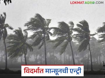Vidarbha Monsoon Update : विदर्भात मान्सूनची दमदार एन्ट्री; पुढील ५ दिवस यलो अलर्ट वाचा सविस्तर - Marathi News | latest news Vidarbha Monsoon Update: Strong entry of monsoon in Vidarbha; Read the yellow alert for the next 5 days in detail | Latest News at Lokmat.com Vidarbha Monsoon Update : विदर्भात मान्सूनची दमदार एन्ट्री; पुढील ५ दिवस यलो अलर्ट वाचा सविस्तर - Marathi News | latest news Vidarbha Monsoon Update: Strong entry of monsoon in Vidarbha; Read the yellow alert for the next 5 days in detail | Latest News at Lokmat.com