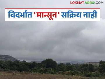 Vidarbha Monsoon Update: शेतकऱ्यांनो, आता पेरणी म्हणजे उलटणीची शक्यता! जाणून घ्या काय आहे कारण - Marathi News | latest news Vidarbha Monsoon Update: Farmers, sowing now means a possibility of reversal! Know what is the reason | Latest News at Lokmat.com