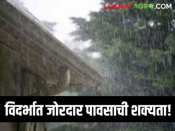 Maharashtra Rain Update : विदर्भात जोरदार पावसाची शक्यता, उर्वरित महाराष्ट्रात परिस्थिती कशी? वाचा सविस्तर - Marathi News | Latest News Maharashtra Rain Update Chance of heavy rain in Vidarbha, see details | Latest News at Lokmat.com