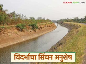 विदर्भाचा सिंचन अनुशेष नेमका आहे तरी किती? थेट सरकारला प्रश्न, विधानसभेत काय घडलं?  - Marathi News | latest News How much is Vidarbha's irrigation backlog question to maharashtra government in vidhansabha | Latest News at Lokmat.com