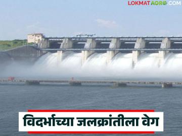 Vidarbha River Linking Project : विदर्भात 'जलक्रांती'ची स्पीड वाढली! ६ वर्षांत ३२ धरणे; शेतकऱ्यांचे नशीब पालटणार? - Marathi News | latest news Vidarbha River Linking Project: The speed of 'water revolution' has increased in Vidarbha! 32 dams in 6 years; Will the fate of farmers change? | Latest News at Lokmat.com