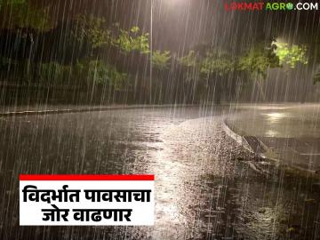 Vidarbha Weather Update: ऑरेंज अलर्ट! विदर्भातील अनेक जिल्ह्यांत जोरदार पावसाची शक्यता - Marathi News | latest news Vidarbha Weather Update: Orange Alert! Heavy rain likely in many districts of Vidarbha | Latest News at Lokmat.com Vidarbha Weather Update: ऑरेंज अलर्ट! विदर्भातील अनेक जिल्ह्यांत जोरदार पावसाची शक्यता - Marathi News | latest news Vidarbha Weather Update: Orange Alert! Heavy rain likely in many districts of Vidarbha | Latest News at Lokmat.com