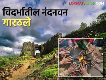 Vidarbha Weather Update : विदर्भाचे नंदनवन @ ९ अंश सेल्सिअस ; वाचा सविस्तर - Marathi News | Vidarbha Weather Update : Paradise of Vidarbha @ 9 degrees Celsius; Read in detail | Latest News at Lokmat.com