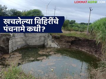 Farm Well Damage : पावसाने उद्ध्वस्त, मदतीने निराश; खचलेल्या विहिरींचे पंचनामे कधी होणार? - Marathi News | latest news Farm Well Damage: Destroyed by rain, disappointed with help; When will the Panchnama of the damaged wells be done? | Latest News at Lokmat.com