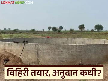 Vihir Anudan : विहिरी झाल्या तयार, शेतकऱ्यांना अजूनही वाट पाहावी लागणार? वाचा सविस्तर - Marathi News | latest news Vihir Anudan: Wells are ready, will farmers still have to wait? Read in detail | Latest News at Lokmat.com