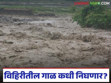 Vihir Anudan : अतिवृष्टी व पुरामुळे गाळाने बुजल्या विहिरी; तीस हजारांचे अनुदान मिळणार कधी? - Marathi News | Vihir Anudan : Wells blocked by silt due to heavy rains and floods; When will the grant of thirty thousand be received? | Latest News at Lokmat.com