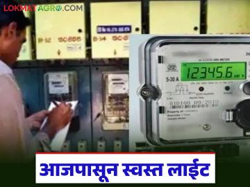 आजपासून घरगुती लाईट स्वस्त झाली, 100 युनिटपर्यंत किती पैसे भरावे लागतील, वाचा सविस्तर 