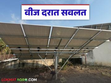 'या' कृषीपंप लाभार्थ्यांना वीज दरात सवलत मिळणार, शासन निर्णय आला, 174 कोटींची मंजुरी - Marathi News | Latest news agricultural pump beneficiaries will get concession in electricity rates, government decision taken, approval of Rs 174 crore | Latest News at Lokmat.com 'या' कृषीपंप लाभार्थ्यांना वीज दरात सवलत मिळणार, शासन निर्णय आला, 174 कोटींची मंजुरी - Marathi News | Latest news agricultural pump beneficiaries will get concession in electricity rates, government decision taken, approval of Rs 174 crore | Latest News at Lokmat.com