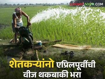 शेतकऱ्यांना मागील वीज थकबाकी भरा ; पाच वर्ष मोफत वीज मिळवा - Marathi News | farmers Pay past electricity dues ; Get free electricity for five years | Latest News at Lokmat.com