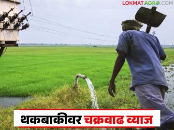 मार्च 2024 पूर्वीच्या थकबाकीवर चक्रवाढ व्याज, जुन्या लाईट बिलांवर 18 टक्क्यांपर्यंत व्याज आकारणी - Marathi News | Compound interest on arrears before March 2024, interest of up to 18 percent on old electricity bills | Latest News at Lokmat.com