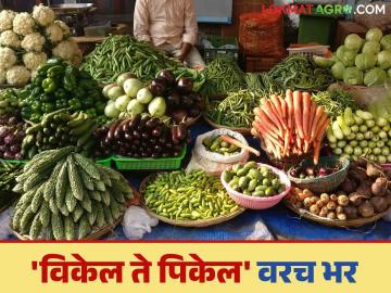 Shetkari Yojana : कालबाह्य योजनांचा नव्याने विचार करून शेतकरी हिताच्या योजना आणल्या जाणार - Marathi News | Shetkari Yojana : Outdated schemes will be reconsidered and schemes for the benefit of farmers will be introduced | Latest News at Lokmat.com Shetkari Yojana : कालबाह्य योजनांचा नव्याने विचार करून शेतकरी हिताच्या योजना आणल्या जाणार - Marathi News | Shetkari Yojana : Outdated schemes will be reconsidered and schemes for the benefit of farmers will be introduced | Latest News at Lokmat.com
