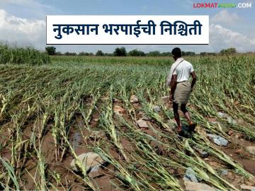 नव्या योजनेत विमा नुकसान भरपाई कशी निश्चित केली जाणार, जाणून घ्या सविस्तर - Marathi News | Latest News Pik Vima Yojana How will insurance compensation be determined in new crop scheme, know in detail | Latest News at Lokmat.com नव्या योजनेत विमा नुकसान भरपाई कशी निश्चित केली जाणार, जाणून घ्या सविस्तर - Marathi News | Latest News Pik Vima Yojana How will insurance compensation be determined in new crop scheme, know in detail | Latest News at Lokmat.com