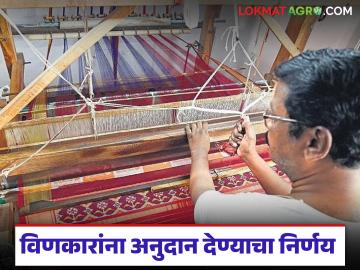 राज्यातील 'या' पाच प्रकारच्या विणकारांसाठी शासनाचा मह्त्वपूर्ण निर्णय, दहा हजारांचे अनुदान  - Marathi News | Latest News Government GR 10 thousand Subsidy or these five types of weavers in maharashtra | Latest News at Lokmat.com