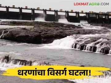 Dam Water Discharged : हतनूर, राजापूर बंधारा, गोसेखुर्दमधून सर्वाधिक विसर्ग, वाचा कुठे किती विसर्ग?  - Marathi News | Latest News maharashtra dam water discharged Highest water discharge from Hatnur, Rajapur Dam, Gosekhurd | Latest News at Lokmat.com