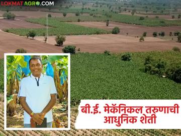 रावेरच्या केळीला परदेशात ओळख निर्माण करून देणाऱ्या 'विशाल'च्या आधुनिक शेतीचा प्रवास; वाचा सविस्तर - Marathi News | The journey of 'Vishal', who made Raver's banana famous abroad, to modern agriculture; Read in detail | Latest News at Lokmat.com रावेरच्या केळीला परदेशात ओळख निर्माण करून देणाऱ्या 'विशाल'च्या आधुनिक शेतीचा प्रवास; वाचा सविस्तर - Marathi News | The journey of 'Vishal', who made Raver's banana famous abroad, to modern agriculture; Read in detail | Latest News at Lokmat.com