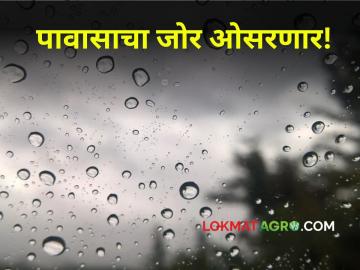 Rain Updates : पावसाचा जोर ओसरला! कुठे, किती पडणार पाऊस? जाणून घ्या - Marathi News | Today's Rain Updates Rain has subsided! Where and how much rain will fall today? find out | Latest agriculture News at Lokmat.com Rain Updates : पावसाचा जोर ओसरला! कुठे, किती पडणार पाऊस? जाणून घ्या - Marathi News | Today's Rain Updates Rain has subsided! Where and how much rain will fall today? find out | Latest agriculture News at Lokmat.com