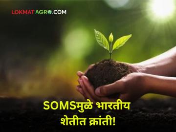 "SOMSच्या मदतीने भारतीय कृषी अन् फलोत्पादनात क्षेत्रात मोठी क्रांती" - Marathi News | "A major revolution in Indian agriculture and horticulture with the help of SOMS" | Latest agriculture News at Lokmat.com