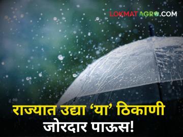Maharashtra Rain Updates : पावसाचा जोर ओसरला! उद्या राज्यात 'इथे' पडणार पाऊस; काय आहेत हवामानाचे इशारे? - Marathi News | Maharashtra Rain Updates : Rain has subsided! Rain will fall 'here' in the state today; What are weather warnings? | Latest agriculture News at Lokmat.com Maharashtra Rain Updates : पावसाचा जोर ओसरला! उद्या राज्यात 'इथे' पडणार पाऊस; काय आहेत हवामानाचे इशारे? - Marathi News | Maharashtra Rain Updates : Rain has subsided! Rain will fall 'here' in the state today; What are weather warnings? | Latest agriculture News at Lokmat.com