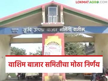 Washim APMC Market : वाशिम बाजार समिती ५ एप्रिलपर्यंत बंद; जाणून घ्या नेमकं कारण - Marathi News | latest news Washim APMC Market: Washim Market Committee closed till April 5; Know the real reason | Latest News at Lokmat.com