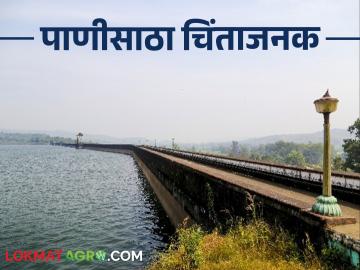 कोल्हापूर जिल्ह्यातील धरणांतील साठ्यात झपाट्याने घट - Marathi News | Rapid decline in stock in dams in Kolhapur district | Latest News at Lokmat.com