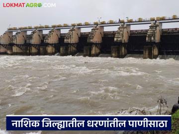 Nashik Dam Storage : नाशिक जिल्ह्यातील धरणे तुडुंब भरली, वाचा तुमच्या जवळच्या धरणांत किती पाणी?  - Marathi News | Latest news Nashik dam Storage Dams in Nashik district are overflowing, read full water level of dams | Latest News at Lokmat.com