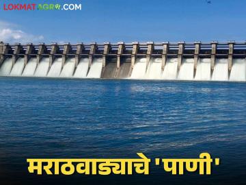 Jaykwadi Dam Water : 'मराठवाड्याचे पाणी' कापण्याचा कुटिल अहवाल स्वीकारू नका! वाचा सविस्तर - Marathi News | Jaykwadi Dam Water: Do not accept the crooked report of cutting 'Marathwada water'! Read in detail | Latest News at Lokmat.com