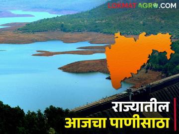 Water Storage : राज्यात 42 टक्केच पाणीसाठा, कोणत्या जिल्ह्यातील धरणात किती पाणी?  - Marathi News | Latest News Only 42 percent water storage in dam of maharashtra | Latest News at Lokmat.com