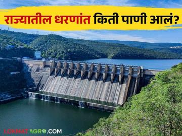 Maharashtra Dam Storage : राज्यातील 'हे' धरण 100 टक्के भरलं? जाणून घ्या कुठल्या धरणांत किती पाणी?  - Marathi News | Latest News know Todays maharashtra dam water storage gangapur, koyana, ujani, vaitrana dam storage | Latest News at Lokmat.com