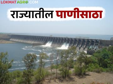 Maharashtra Water Storage : मागील वर्षीच्या तुलनेत यंदा राज्यातील कोणत्या विभागात किती पाणीसाठा? - Marathi News | Maharashtra Water Storage : How much water storage is there in which division of the state this year compared to last year? | Latest News at Lokmat.com