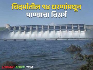 Water Release In Vidarbha : अमरावती विभागातील 'या' १४ धरणांमधून पाण्याचा विसर्ग - Marathi News | Water Release In Vidarbha : Release of water from these 14 dams in Amravati Division | Latest News at Lokmat.com Water Release In Vidarbha : अमरावती विभागातील 'या' १४ धरणांमधून पाण्याचा विसर्ग - Marathi News | Water Release In Vidarbha : Release of water from these 14 dams in Amravati Division | Latest News at Lokmat.com