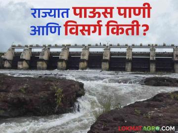 Maharashtra Rain Update : मराठवाड्यातील धरणे 75 टक्के भरली, कुठे किती पाऊस अन् विसर्ग?  वाचा सविस्तर  - Marathi News | Latest news Maharashtra Rain Update Dams in Marathwada filled 75 percent Read in detail  | Latest News at Lokmat.com