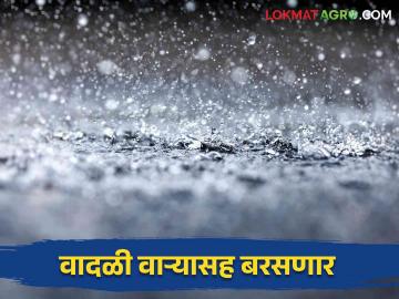 Maharahtra Rain Update : परतीच्या पावसाचे वातावरण राहणार; चार महिन्यांमध्ये बरसला किती मिमी वाचा सविस्तर - Marathi News | Maharahtra Rain Update : Heavy RainFall in dharashiv district | Latest News at Lokmat.com