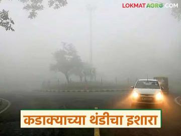 Maharashtra Weather Update : राज्यातील 'या' भागात कडाक्याच्या थंडीचा इशारा; IMD चा अलर्ट जारी वाचा सविस्तर - Marathi News | latest news Maharashtra Weather Update: Warning of severe cold in 'this' part of the state; IMD alert issued Read in detail | Latest News at Lokmat.com