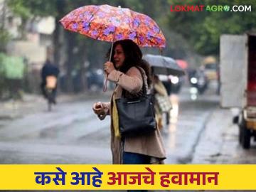 Maharashtra Weather Update : कसे असणार आजचे हवामान? जाणून घ्या सविस्तर - Marathi News | Maharashtra Weather Update: How will the weather be today? Know in detail | Latest News at Lokmat.com