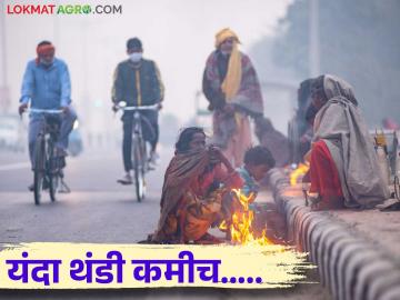 Weather Update : काय सांगताय ! यंदा कडकडीत थंडी नाहीच ; IMD ने दिली मोठी अपडेट - Marathi News | Weather Update: IMD gave a big weather update read in details | Latest News at Lokmat.com
