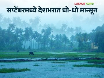 IMD Weather Update : भारतीय हवामान खात्याचा अंदाज; आता सप्टेंबरमध्येही देशभरात धो-धो बरसणार? - Marathi News | IMD Weather Update : India Meteorological Department forecast; Now even in September it will rain across the country? | Latest News at Lokmat.com