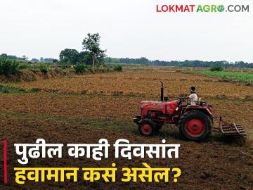 'शेतकऱ्यांनी अवकाळीच्या वल्गनाकडे दुर्लक्ष करा', जेष्ठ निवृत्त हवामान तज्ञ माणिकराव खुळे यांचं आवाहन  - Marathi News | Latest News Important appeal for farmers regarding unseasonal rain appeals meteorologist Manikrao Khule | Latest News at Lokmat.com