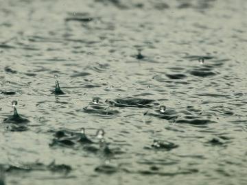 येत्या चार आठवड्यात महाराष्ट्रात पुन्हा पावसाची शक्यता - Marathi News | Chance of rain again in next four weeks in Maharashtra | Latest News at Lokmat.com