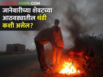 जानेवारीच्या शेवटच्या आठवड्यातील थंडी कशी असेल? जाणून घ्या सविस्तर  - Marathi News | How will the cold be in the last week of January? Know in detail | Latest News at Lokmat.com