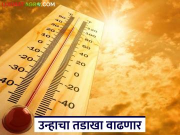 उन्हाळ्याची चाहूल; राज्यात फेब्रुवारीतच उन्हाचा तडाखा, 'या' भागात पारा आणखी चढत जाणार - Marathi News | Summer is in full swing; The heat wave will hit the state in February itself, the mercury will continue to rise in these areas | Latest News at Lokmat.com उन्हाळ्याची चाहूल; राज्यात फेब्रुवारीतच उन्हाचा तडाखा, 'या' भागात पारा आणखी चढत जाणार - Marathi News | Summer is in full swing; The heat wave will hit the state in February itself, the mercury will continue to rise in these areas | Latest News at Lokmat.com