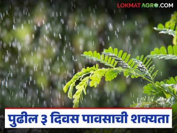 Maharashtra Weather Update : तापमान काही अंशी घसरले; पुढील तीन दिवसात राज्यात काय आहे पावसाचा अंदाज? - Marathi News | Maharashtra Weather Update: Temperature has dropped slightly; What is the rainfall forecast in the state for the next three days? | Latest News at Lokmat.com