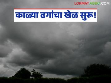 Maharashtra Weather Update : काळ्या ढगांचा खेळ सुरू; सायंकाळी पुन्हा बरसणार का? - Marathi News | latest news Maharashtra Weather Update: The game of black clouds has begun; Will it rain again in the evening? | Latest News at Lokmat.com