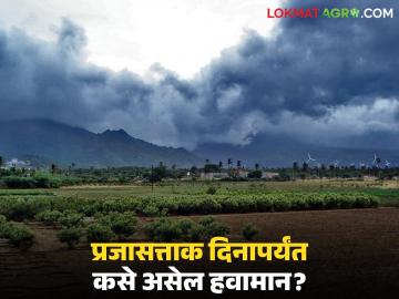 Maharashtra Weather Update : प्रजासत्ताक दिनापर्यंत कसे असेल हवामान? जाणून घ्या सविस्तर - Marathi News | latest news Maharashtra Weather Update: What will the weather be like till Republic Day? Know in detail | Latest News at Lokmat.com Maharashtra Weather Update : प्रजासत्ताक दिनापर्यंत कसे असेल हवामान? जाणून घ्या सविस्तर - Marathi News | latest news Maharashtra Weather Update: What will the weather be like till Republic Day? Know in detail | Latest News at Lokmat.com